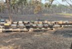 Lusomorango entrega alimento a milhares de colmeias atingidas pelos incêndios