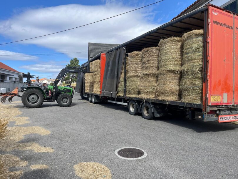 Do Sul ao Norte, agricultores unem-se para apoiar vítimas dos incêndios de 2025