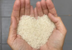 Rice2B – Um projeto para a biofortificação do arroz em vitaminas B1 e B2