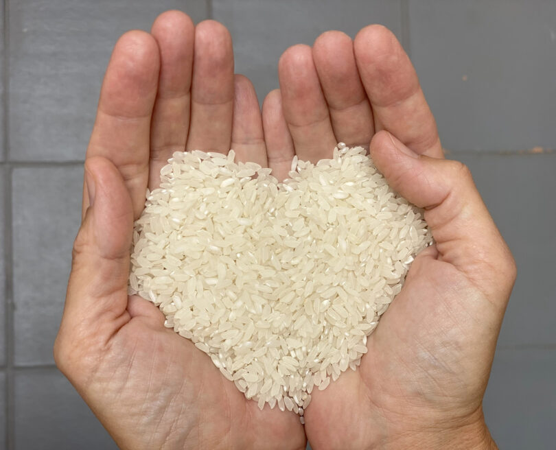 Rice2B – Um projeto para a biofortificação do arroz em vitaminas B1 e B2