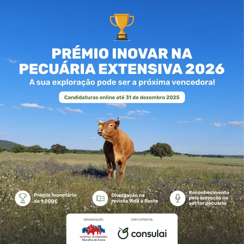 Estão abertas as candidaturas ao Prémio Inovar na Pecuária Extensiva 2026
