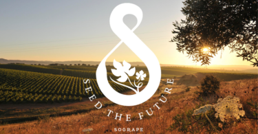 Sogrape atinge redução de 13,5% nas suas emissões de GEE em 2024