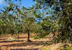 iStock 1269116764