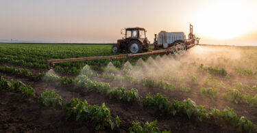México proíbe 35 pesticidas e dá prioridade à agricultura sustentável