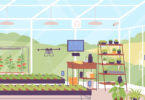 Na agricultura do futuro, a sustentabilidade e competitividade caminham juntas?