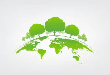Sustentabilidade, competitividade e globalização. É este o caminho da agricultura?