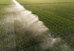“A transformação da agricultura faz-se, essencialmente, pela adoção tecnológica”