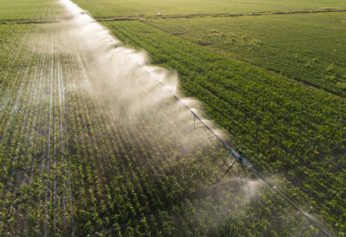 “A transformação da agricultura faz-se, essencialmente, pela adoção tecnológica”