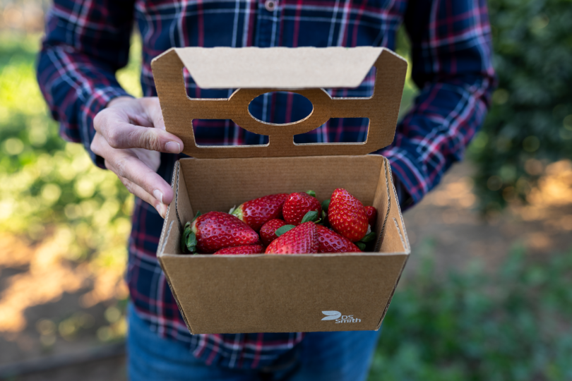 DS Smith apresenta novas soluções de packaging na Fruit Attraction