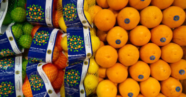 “Queremos aumentar o reconhecimento, notoriedade e visibilidade internacional dos citrinos do Algarve”