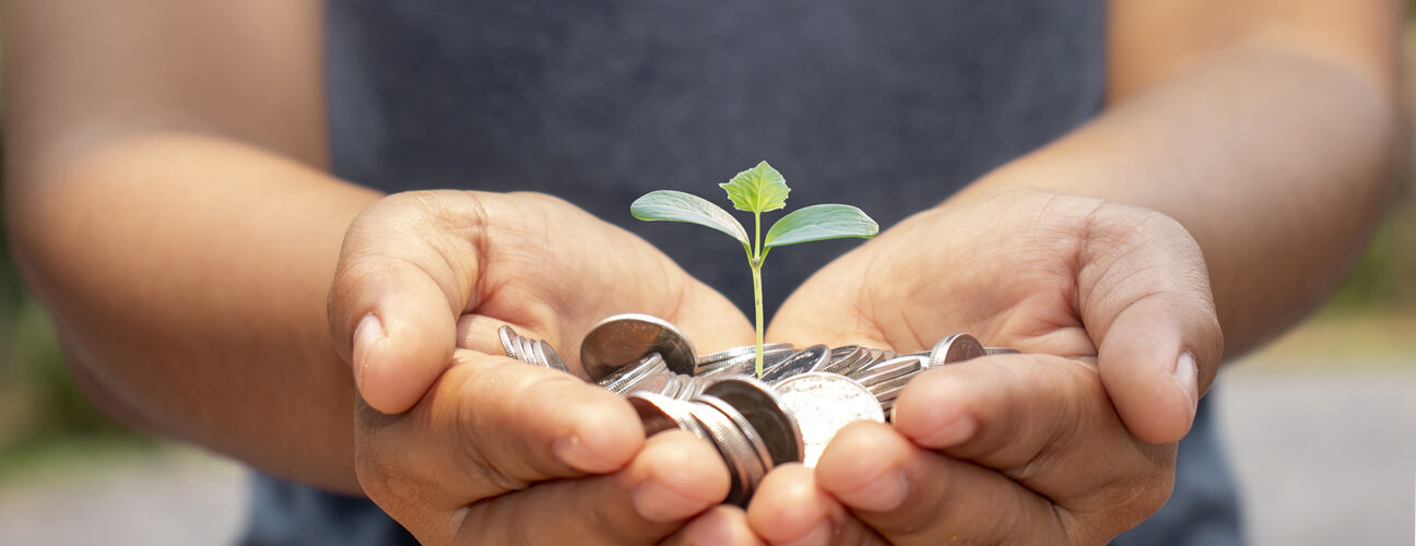 Governo executa 651 milhões de euros em apoios aos agricultores em outubro