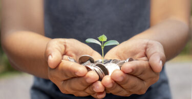 Governo executa 651 milhões de euros em apoios aos agricultores em outubro