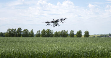 Quénia prepara plano nacional para uso de drones na agricultura