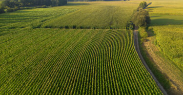 Portugal subscreveu declaração conjunta sobre gestão sustentável dos riscos na agricultura
