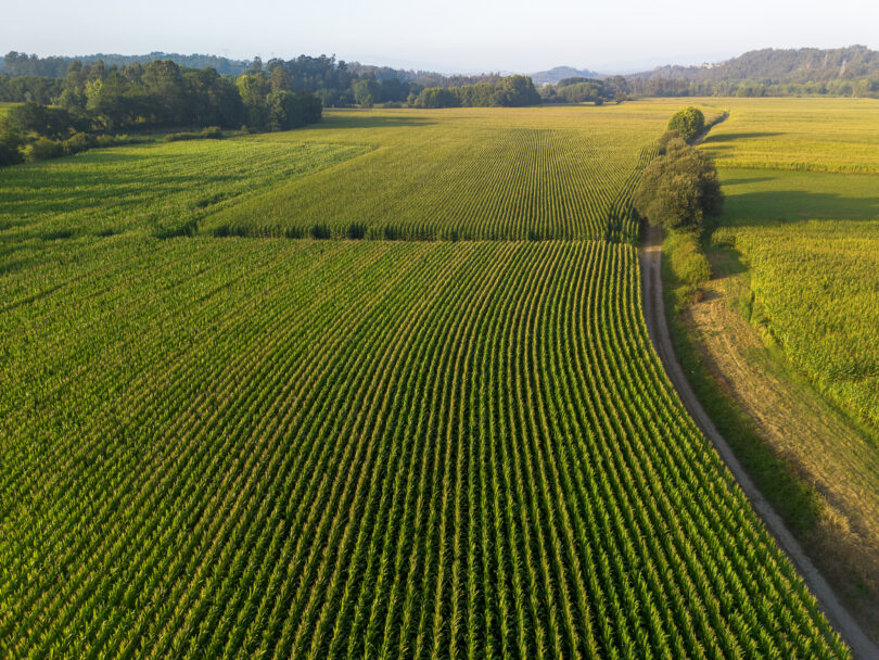 Portugal subscreveu declaração conjunta sobre gestão sustentável dos riscos na agricultura