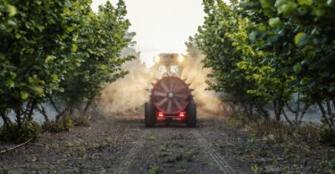 Canadianos criam pesticidas com nanotecnologia para eliminar pragas sem afetar outras espécies