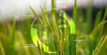 Politécnico de Coimbra integra doutoramento europeu na área agroalimentar