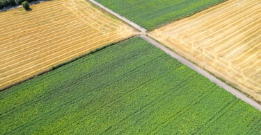 Programa europeu destaca startups que estão a transformar a agricultura regenerativa