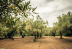 iStock 932455098