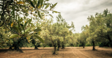 iStock 932455098