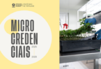 Instituto Politécnico de Portalegre lança formação sobre canábis medicinal