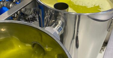 Olivum ajusta previsões e prevê queda de 20% na produção de azeitona