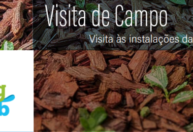 Efluentes agropecuários em destaque na visita de campo do projeto Living Lab em Mira