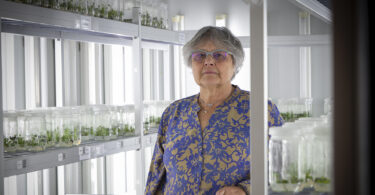 Conservar hoje para alimentar o futuro – biotecnologia no centro desta missão