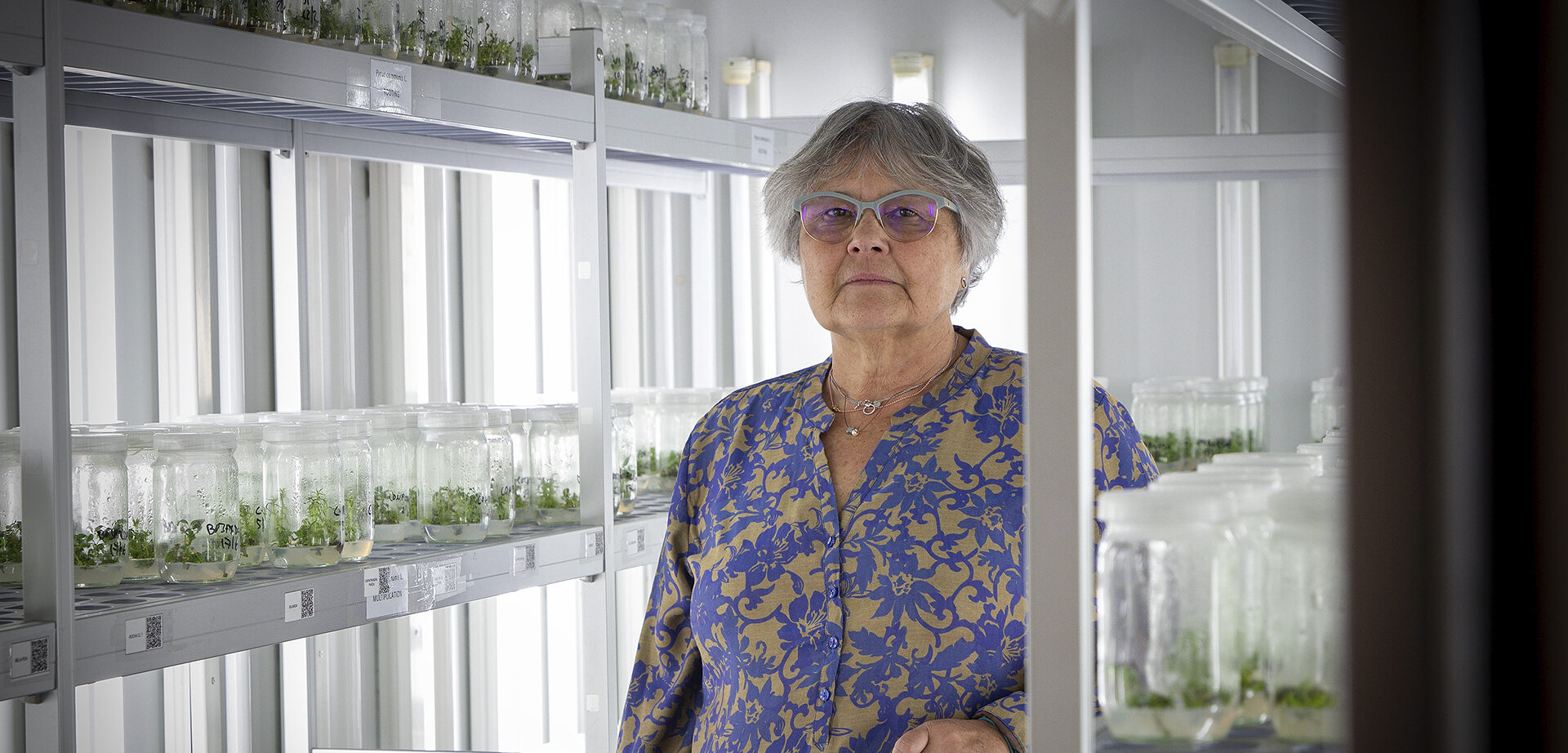 Conservar hoje para alimentar o futuro – biotecnologia no centro desta missão