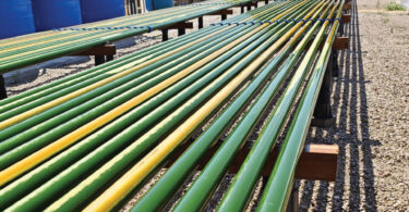 Conheça o projeto que transforma resíduos de vinho em microalgas