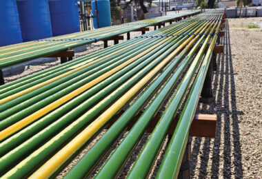 Conheça o projeto que transforma resíduos de vinho em microalgas