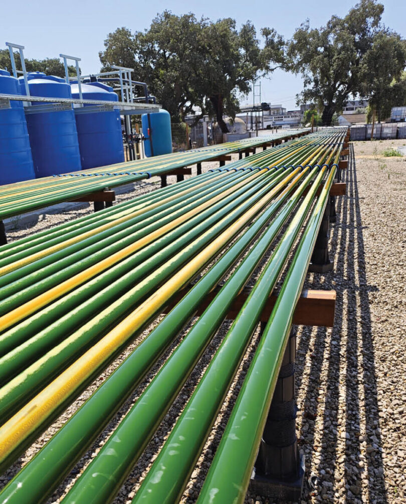 Conheça o projeto que transforma resíduos de vinho em microalgas