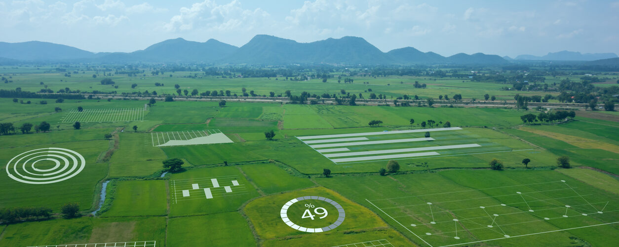 IA: A agricultura que aprende sozinha