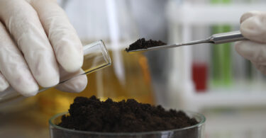 Fortalecer a gestão sustentável do solo agrícola: Inventário, indicadores e serviços de ecossistema