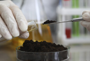 Fortalecer a gestão sustentável do solo agrícola: Inventário, indicadores e serviços de ecossistema