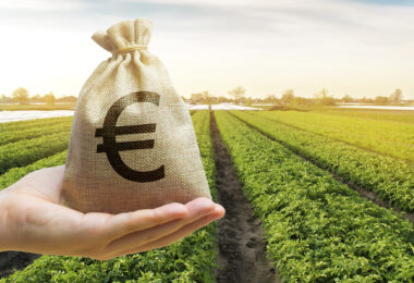 PAC pós-2027: O orçamento mantém-se, a gestão muda