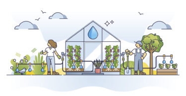 Gulbenkian investe na inovação agrícola para transformar a gestão da água e do solo