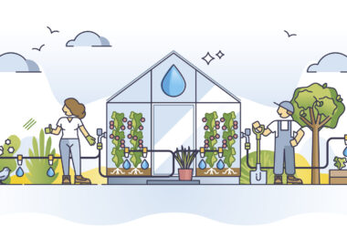 Gulbenkian investe na inovação agrícola para transformar a gestão da água e do solo