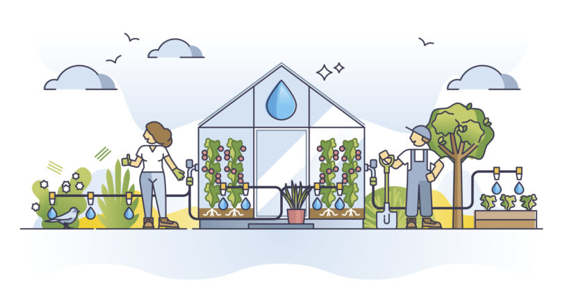 Gulbenkian investe na inovação agrícola para transformar a gestão da água e do solo