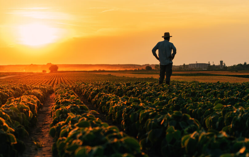 Quais os futuros cenários para a agricultura da UE até 2040?