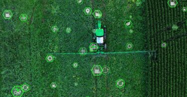 Ministério da Agricultura aposta em IA para combater pragas e doenças