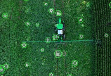 Ministério da Agricultura aposta em IA para combater pragas e doenças