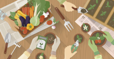 FoodLink lança rede para transformar o sistema alimentar da Área Metropolitana de Lisboa