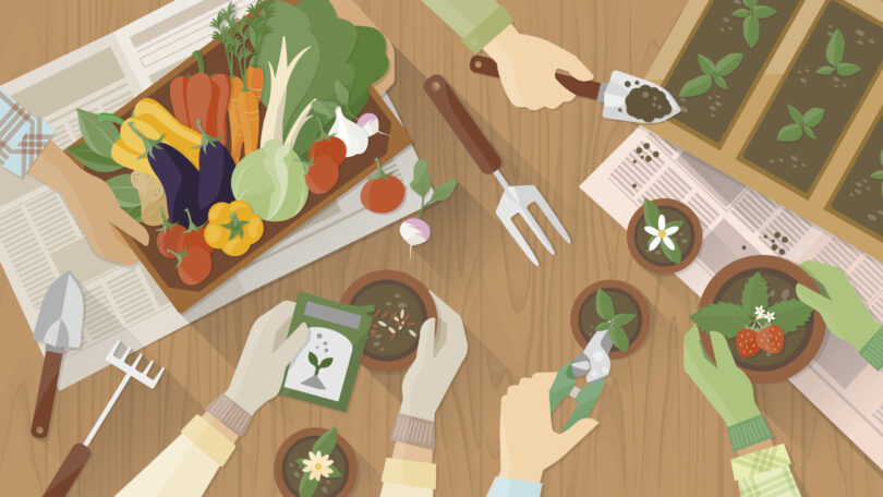 FoodLink lança rede para transformar o sistema alimentar da Área Metropolitana de Lisboa