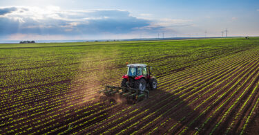 UE: Produção agrícola caiu 0,9% em 2024 para 532 mil milhões de euros