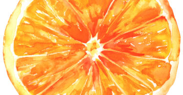 Citrinos do Algarve apostam em internacionalização como estratégia de criação de valor