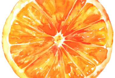 Citrinos do Algarve apostam em internacionalização como estratégia de criação de valor