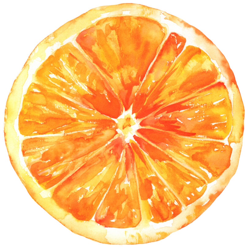 Citrinos do Algarve apostam em internacionalização como estratégia de criação de valor