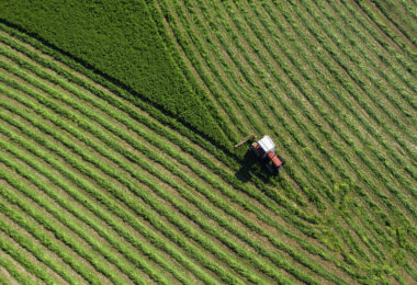 Mercados agrícolas da UE mantêm estabilidade, mas custos continuam a pressionar produtores