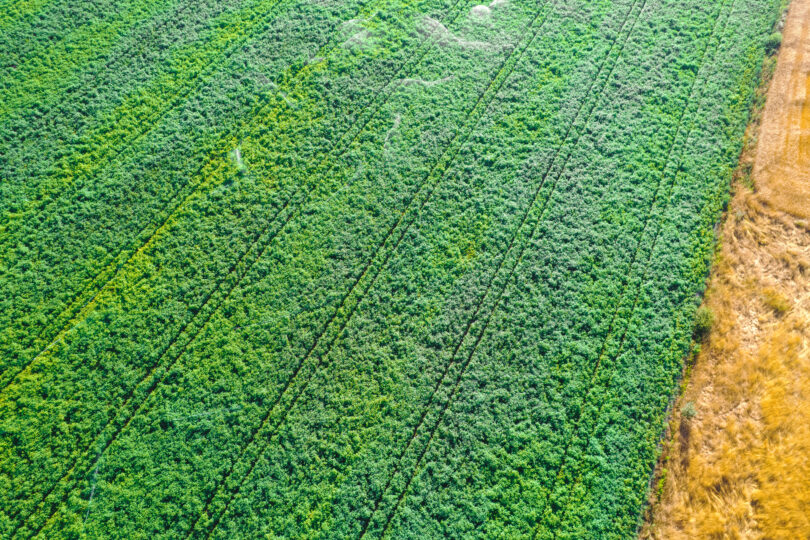 Agricultura regenerativa: Quando o conceito corre mais depressa do que a prática